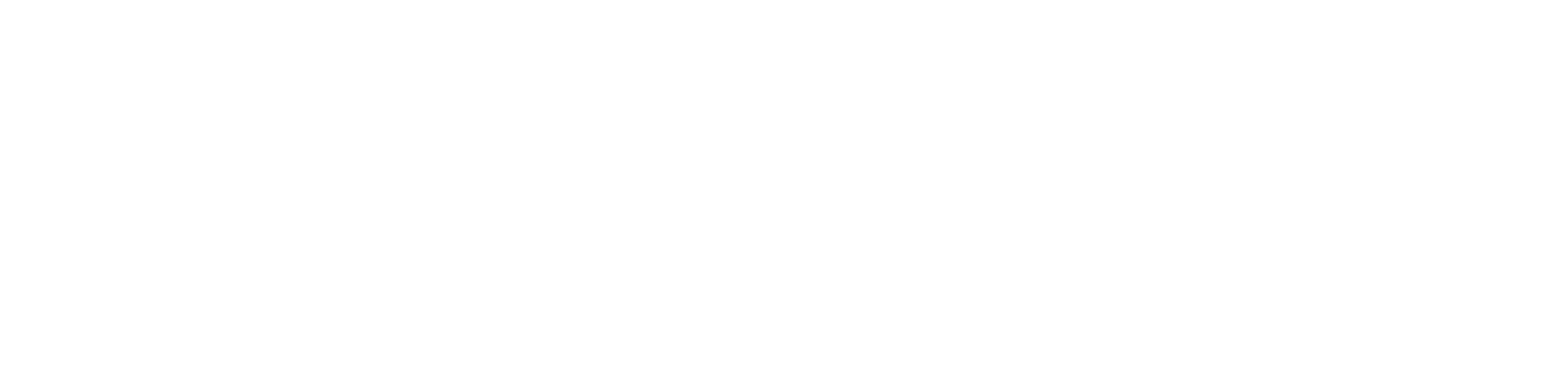 The Optimists IT & Edu Solutions